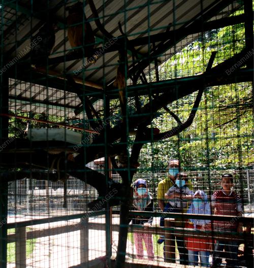 MINI ZOO TAMAN TERUNTUM