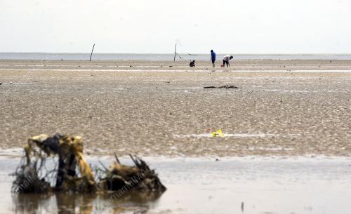 PH01_11122015_PANTAI