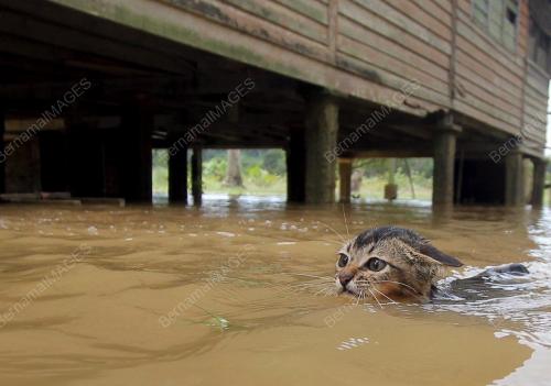 PH01_12012014_BANJIR