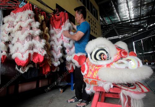TINJAUAN TAHUN BARU CINA