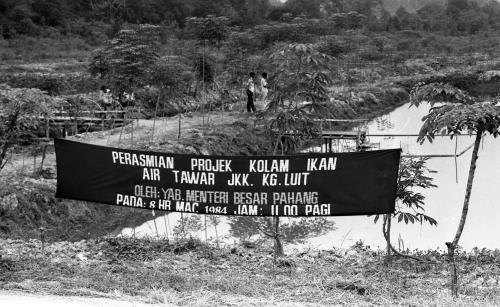 PH01_12032015_PROJEK_IKAN