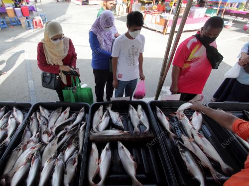 IKAN AIR TAWAR