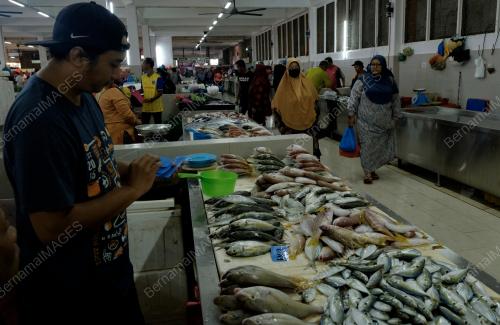 TINJAUAN BEKALAN IKAN SEGAR MUSIM TENGKUJUH