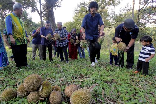 PH01_13092013_DURIAN