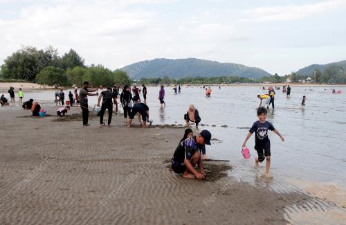 MENGISI MASA LAPANG CUTI UMUM MENCARI KEPAH