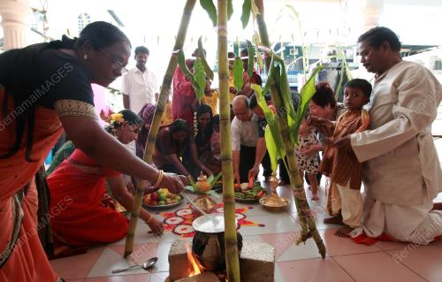 PH01_14012011_PONGGAL