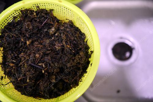 CHEGUU CINCAU