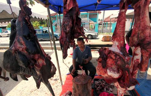 PH01_14062018_DAGING