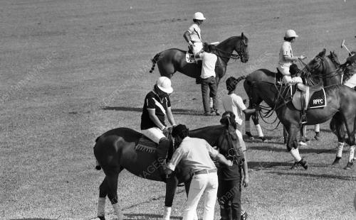 PH01_14072015_POLO