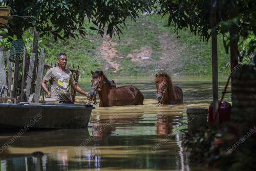 BANJIR PAHANG