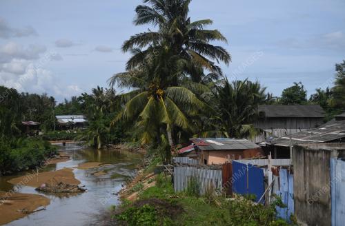 KELANGSUNGAN HIDUP PANDEMIK COVID-19