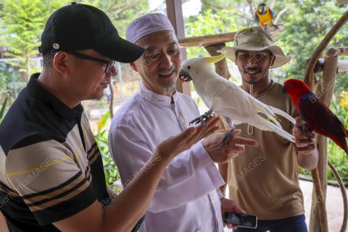 LAWATAN 36 IMAM DARI CHINA