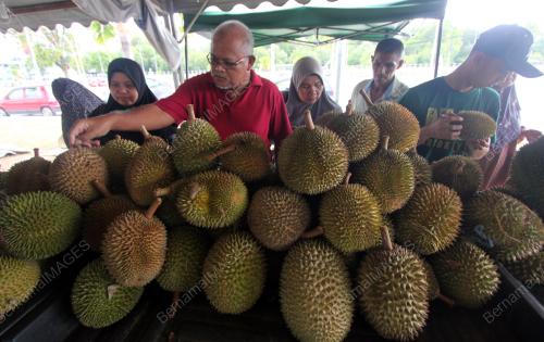 PH01_16062019_DURIAN