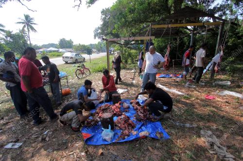 PH01_16072015_DAGING