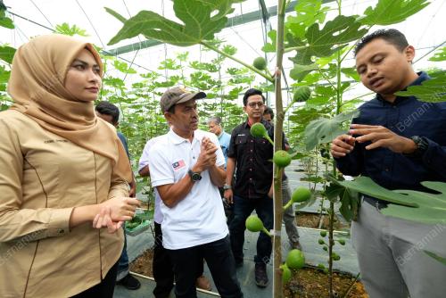 PH01_16102018_BUAH_TIN