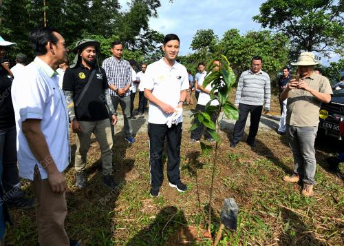 PH01_17112018_HUTAN_BN201811163874