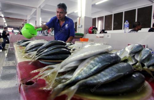 BEKALAN IKAN LAUT