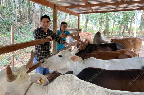 SIR LADANG