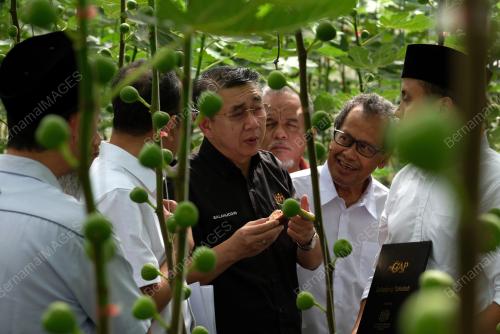 PH01_18062019_SALAHUDDIN_BN201906172333