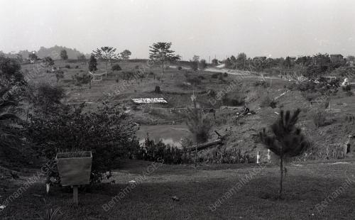 FELDA BUKIT DAMAR