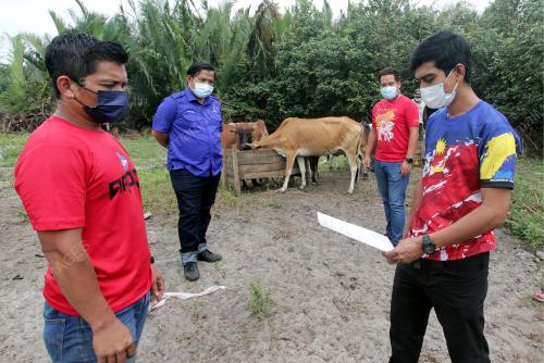 AKAD WAKALAH BINATANG KORBAN
