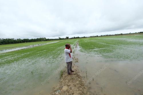 BANJIR PAHANG