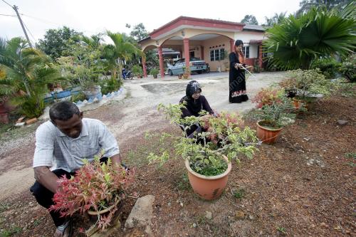 PH01_20012013_FELDA