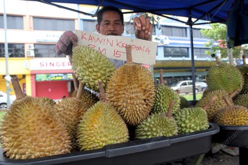 PH01_22062019_DURIAN