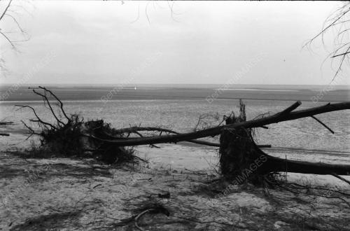 HAKISAN PANTAI