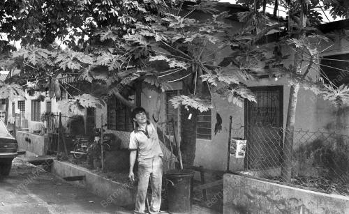 PH01_23052019_POKOK_BETIK