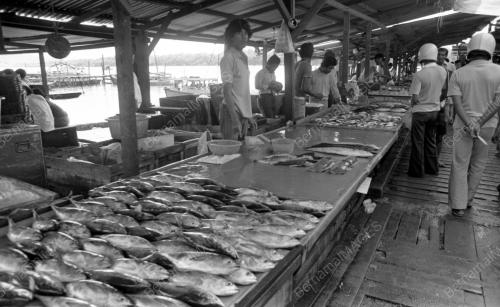 PH01_24062015_PASAR_TANI