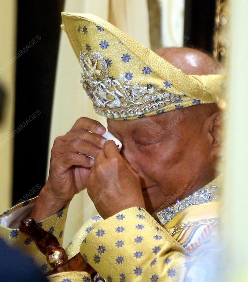 SULTAN AHMAD SHAH