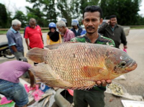 PH01_25012017_BANJIR