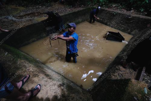 PH01_25052018_PEMBALAKAN