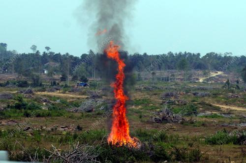 PH01_26032016_PEMBAKARAN