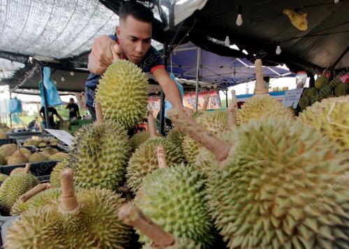 DURIAN