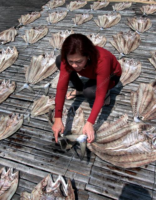 PH01_26092019_IKAN
