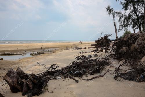 HAKISAN PANTAI