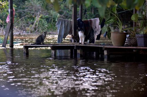 PAHANG_BANJIR