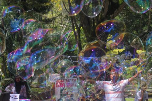 PH01_27122015_BELON