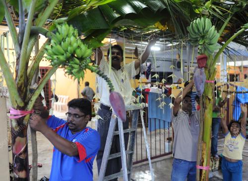 PH01_28012012_THAIPUSAM