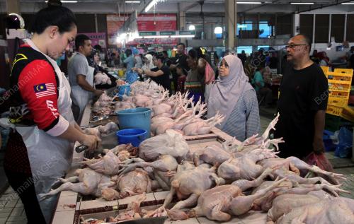 MEMBELI AYAM SEGAR MENJELANG AIDILADHA