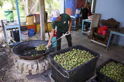 PERNIAGAAN BUAH KABUNG
