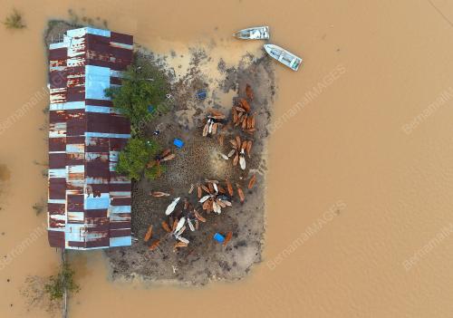 PH01_31012017_BANJIR