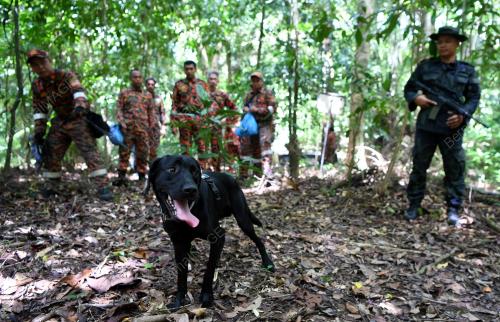 PH02_02022019_PELANCONG_HILANG_BN201902019767