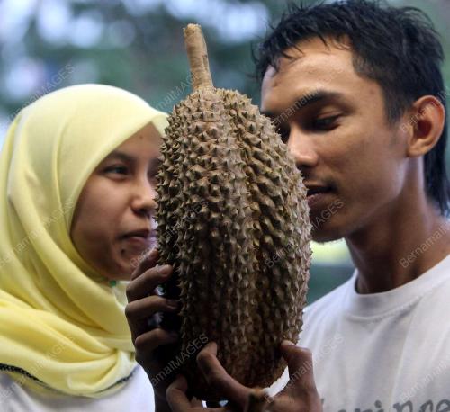 DURIAN