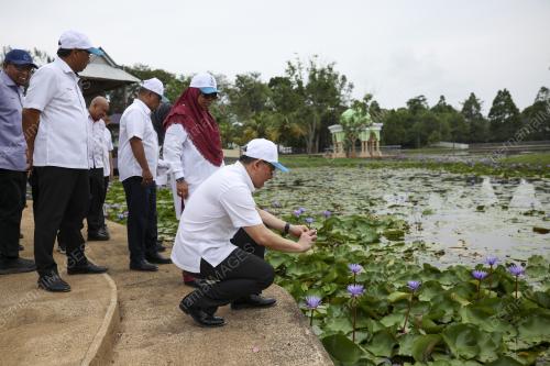 NGA KOR MING