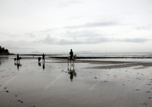 MONSUN TIMUR LAUT