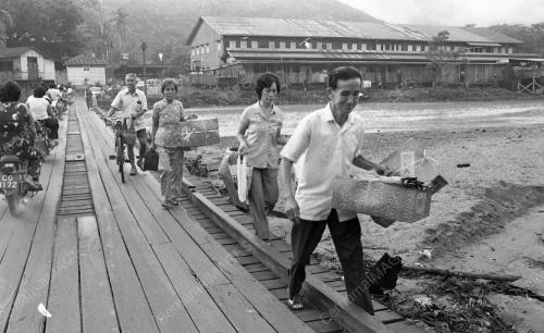 HARI CHING MING