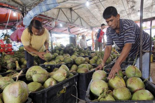 PH02_05042016_KELAPA